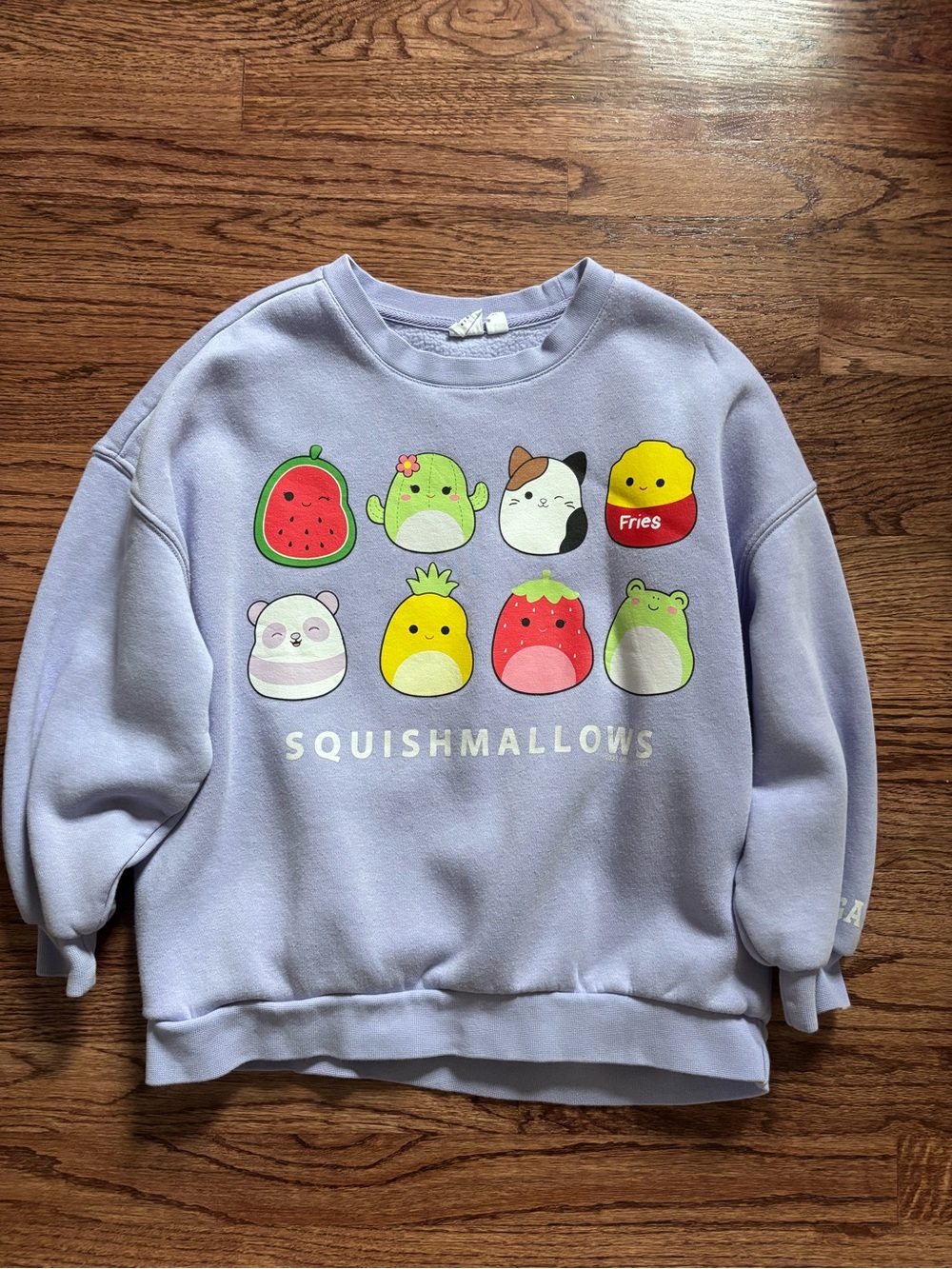 Gap x Squishmallows Collaboration Sweatshirt
